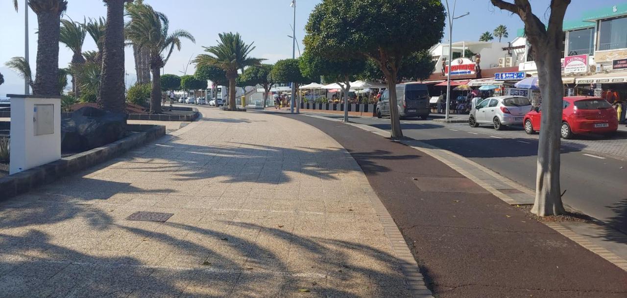 Arbustos Puerto del Carmen (Lanzarote)
