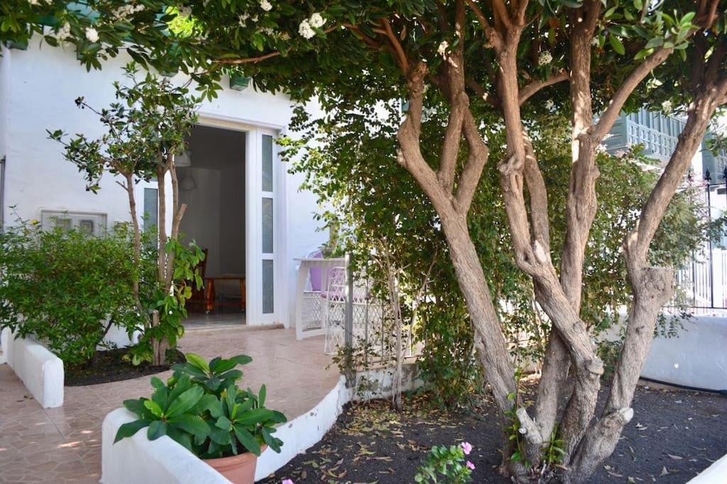 Playa Chica With Terrace 100 M From The Sea Puerto del Carmen (Lanzarote)