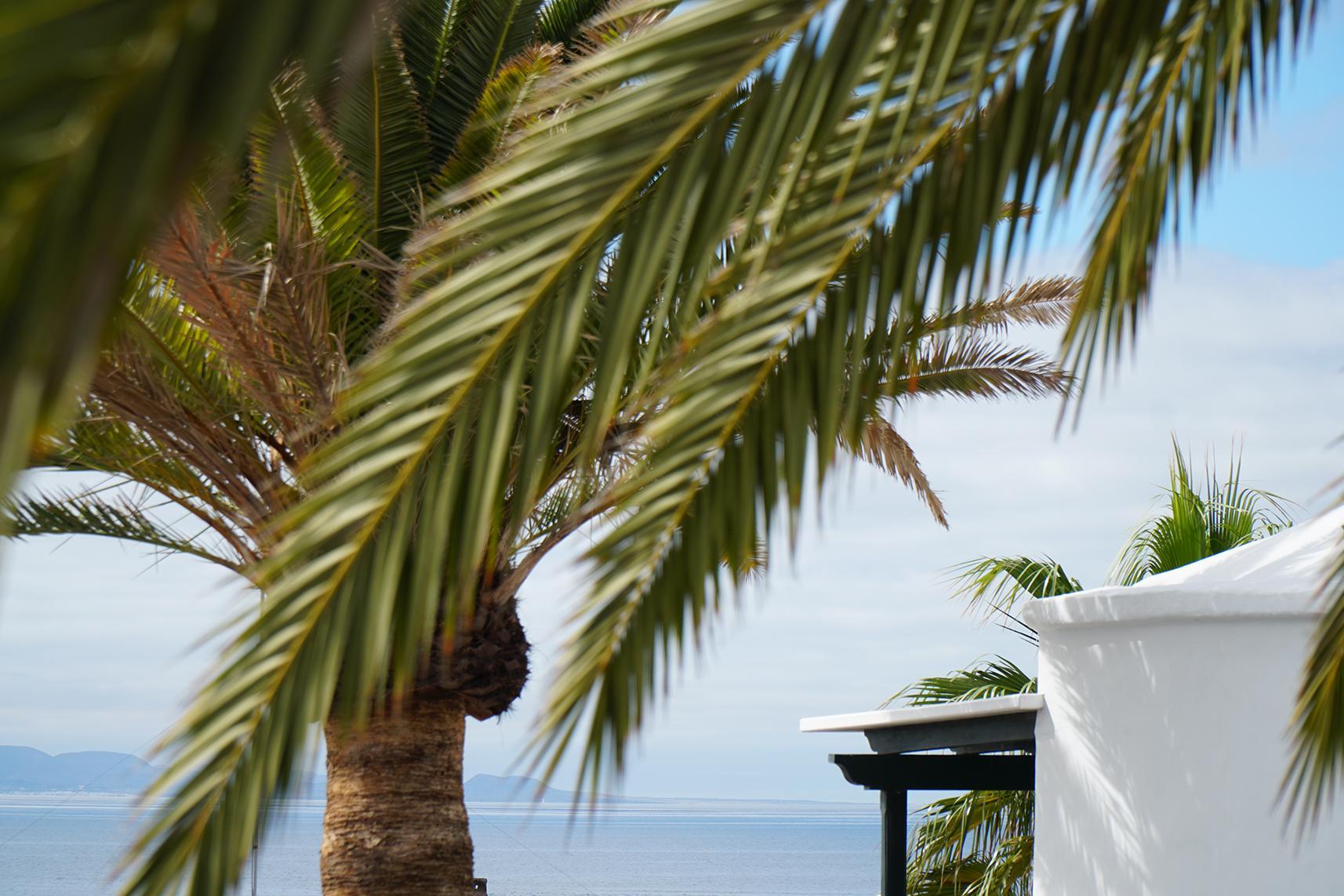 Barcarola Club Apartamento Puerto del Carmen (Lanzarote)