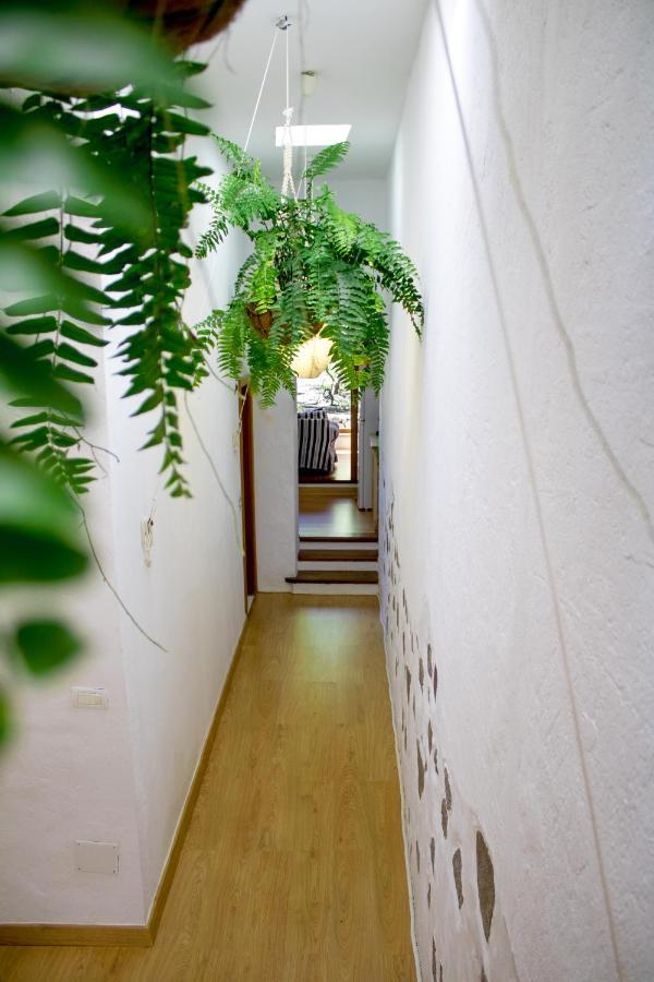 Tranquila Casita Rural En Apartamento *