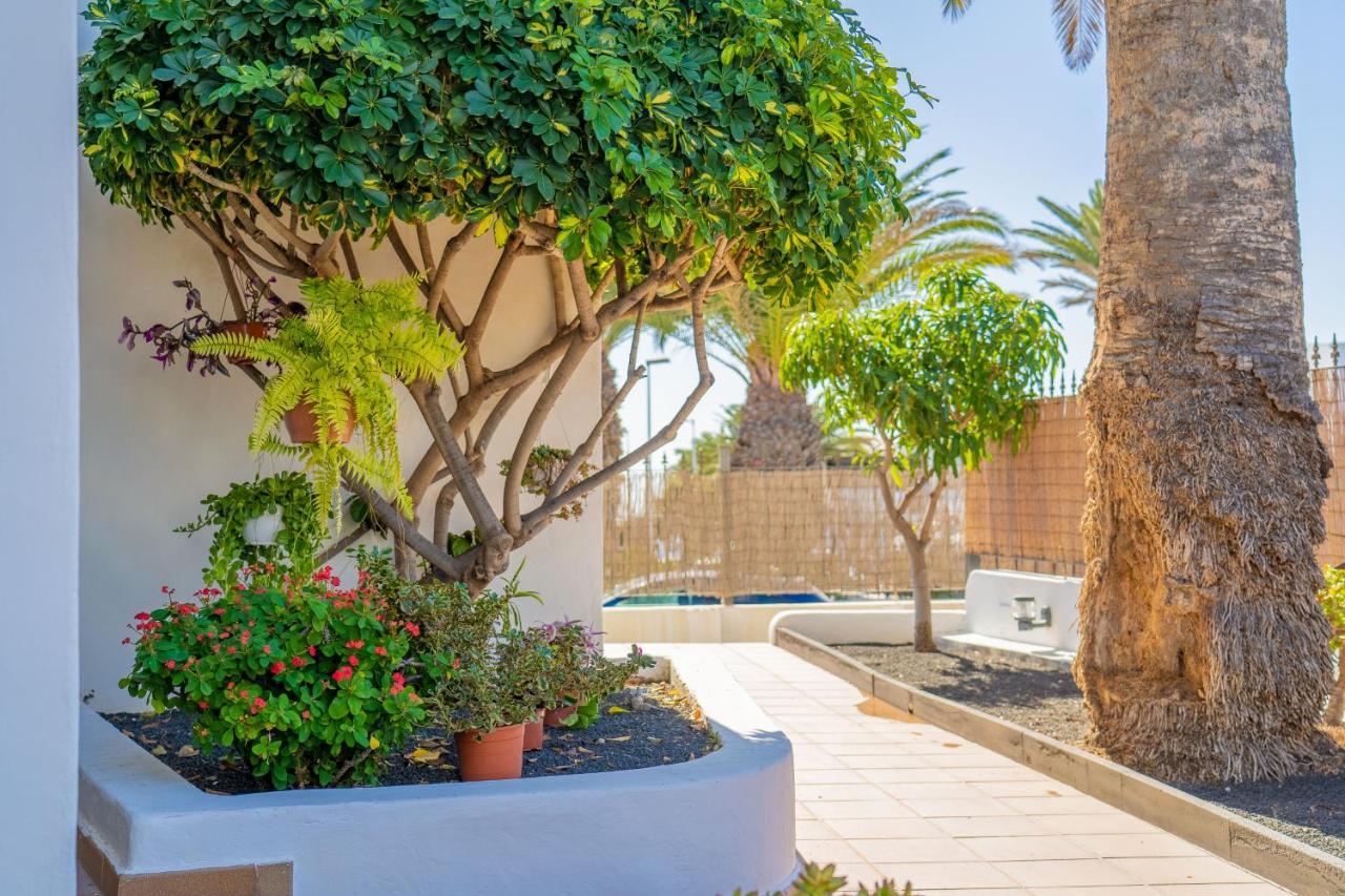 Apartamento Isla De Lobos - Adults Only *