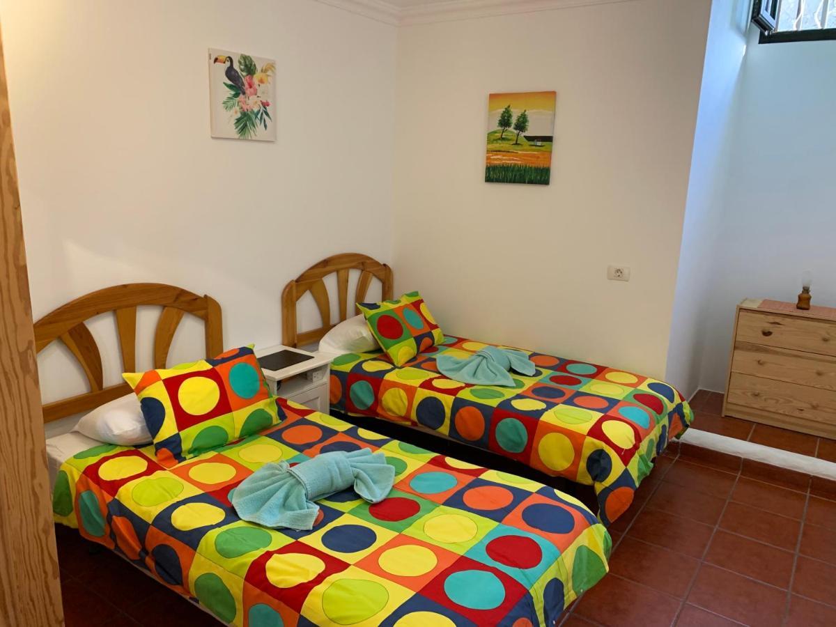 Apartment Basement Very Large Fantastic Location *