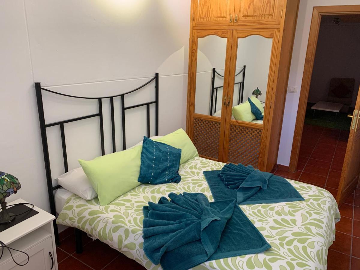 Basement Very Large Fantastic Location Apartment