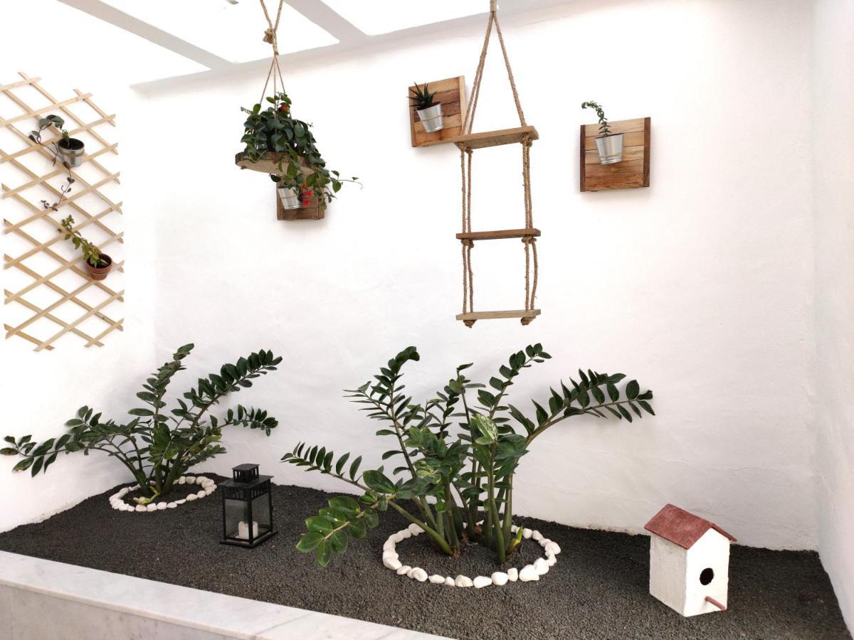 Apartamento Carpe Diem En Puerto Del Carmen