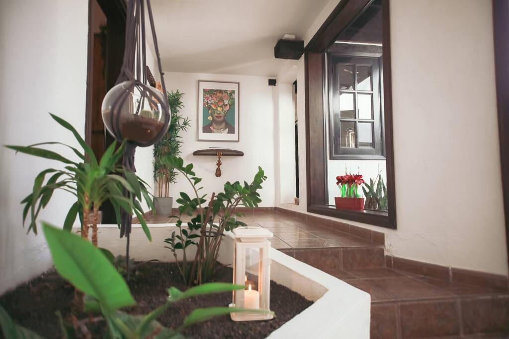Casita Palmera, Country Home, Haria, Lanzarote Villa Haria