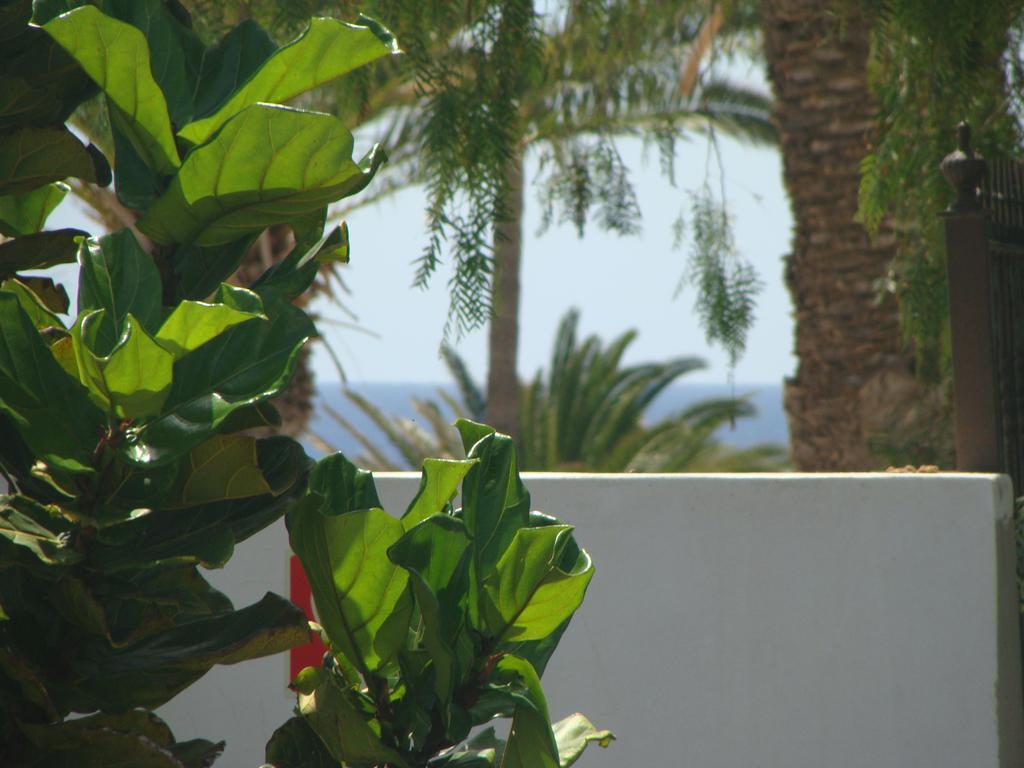 Chafari B5 A1 * Puerto del Carmen (Lanzarote)