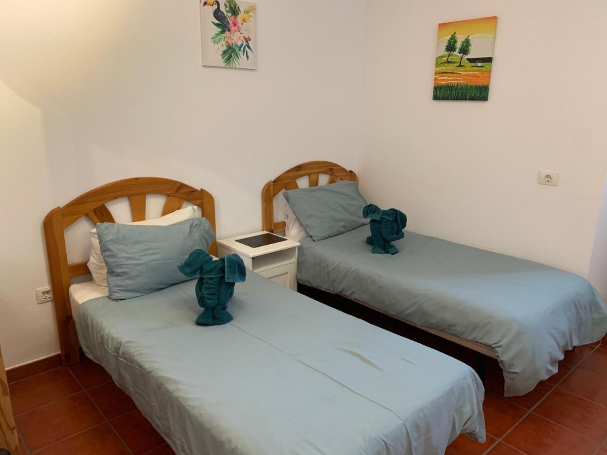 Basement Very Large Fantastic Location Apartment