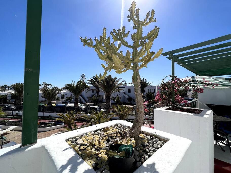 Casa Baxter - 1 Bedroom In Matagorda With Communal Pool *