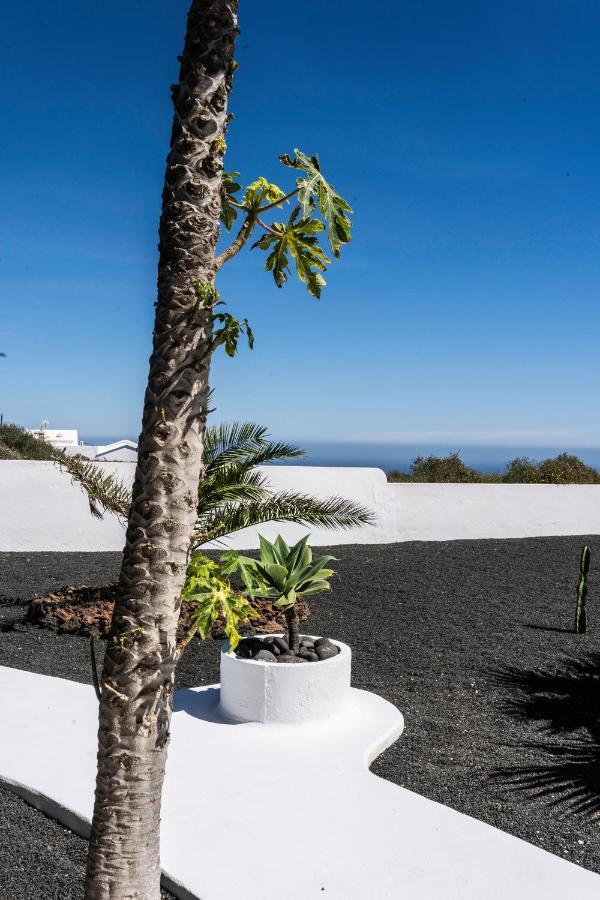 Villa Canis