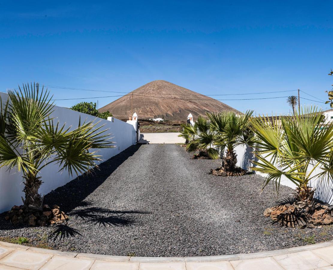 Canis Villa Tías