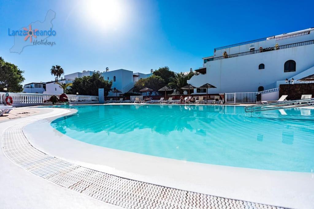 Papillon Costa Teguise