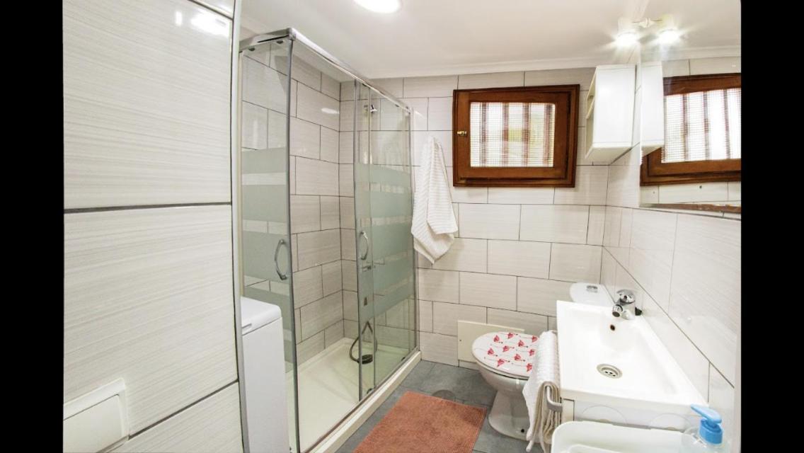 Oasisstudiolanzarote