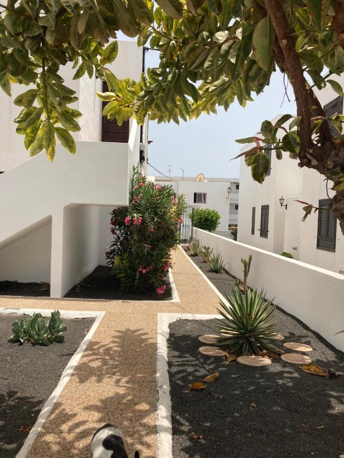 Oasisstudiolanzarote *