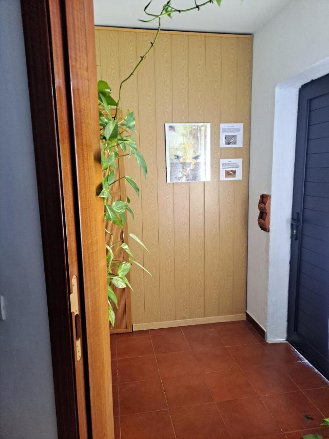 Сasa de vacaciones Casa Amaia Arrecife (Lanzarote)