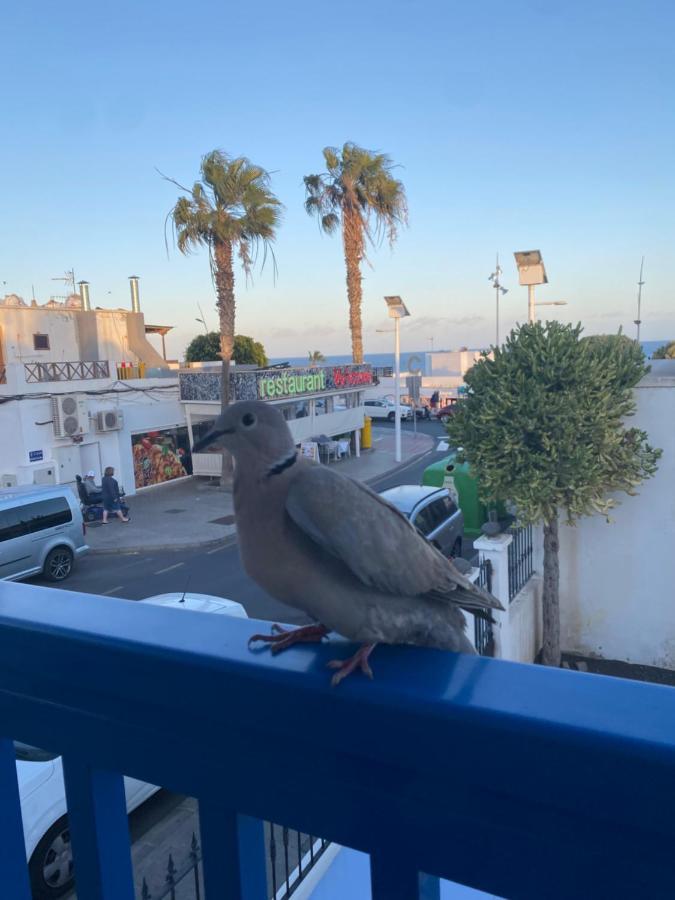 Mi Sueno Vv * Puerto del Carmen (Lanzarote)