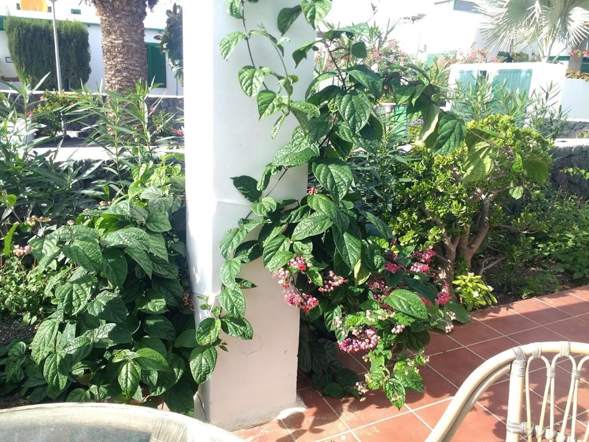 Casa Maracuya * Costa Teguise