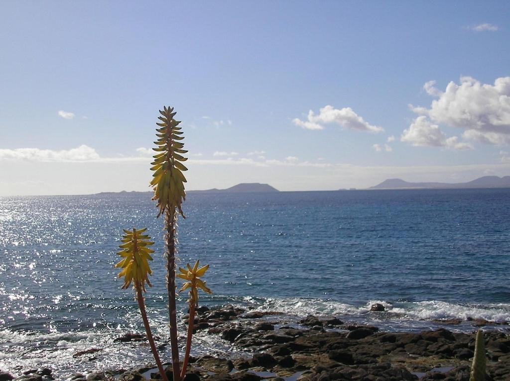 Сasa de vacaciones Casa Aguamarina 23b Playa Blanca (Lanzarote)