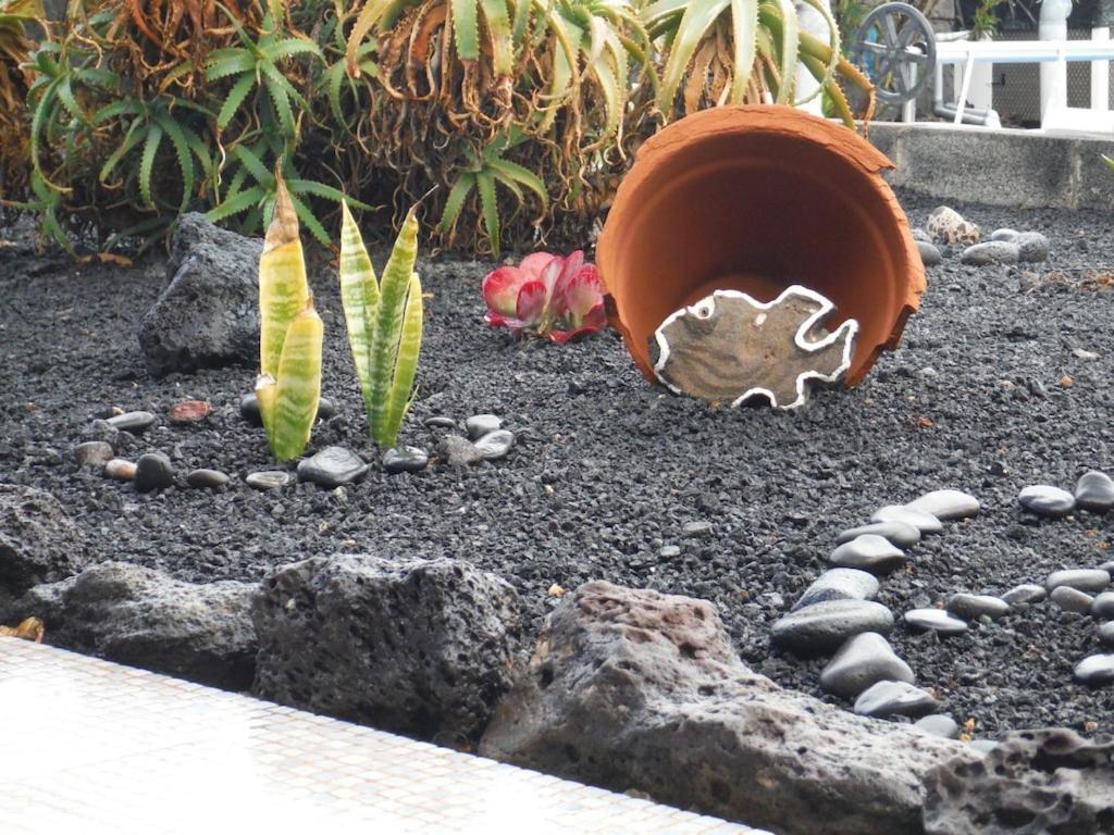Casa Aguamarina 23b Playa Blanca (Lanzarote)