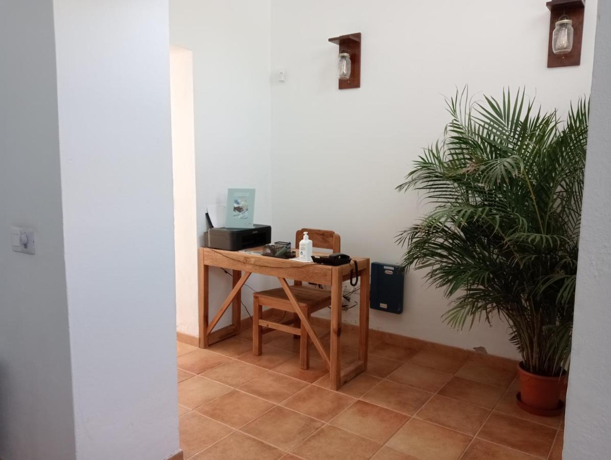 Casa Mocan Bed & Breakfast