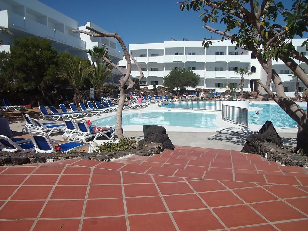 Ficus * Costa Teguise