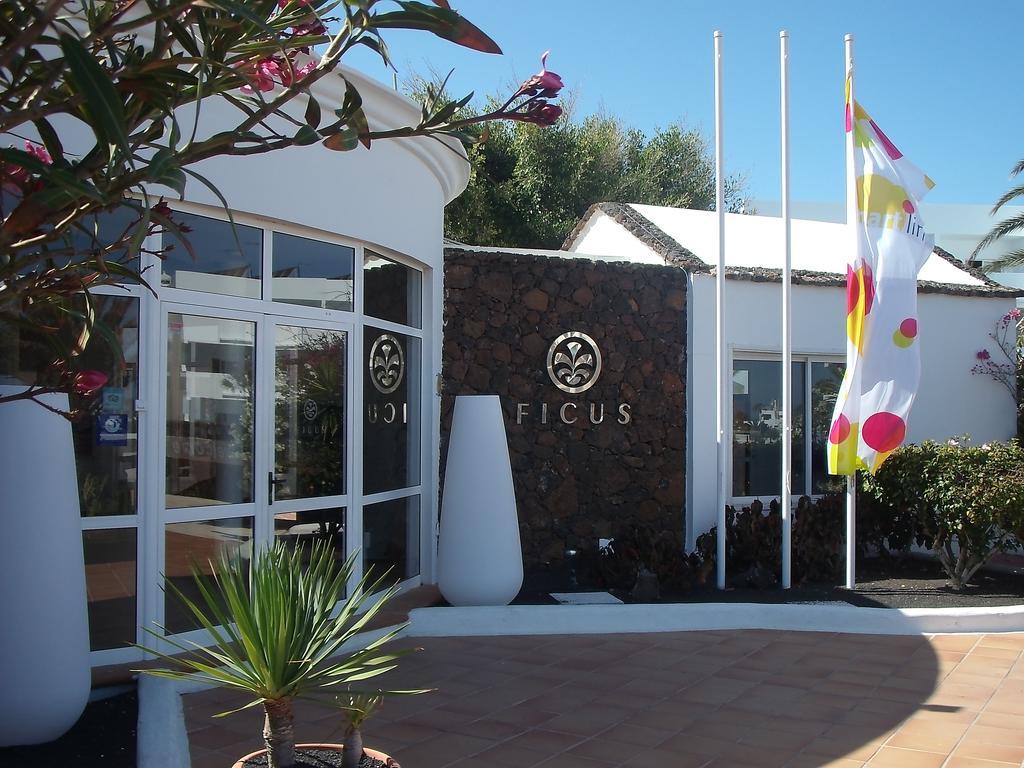 Apartamento Ficus