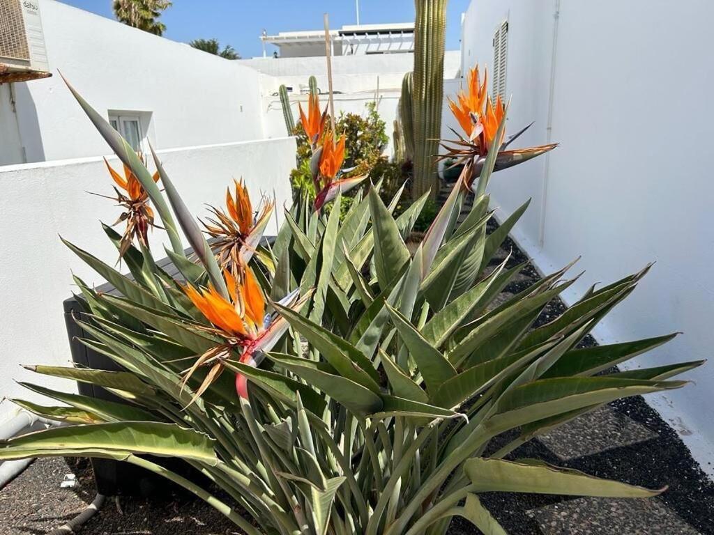 2 Bedroom In Puerto Del Carmen Puerto del Carmen (Lanzarote)