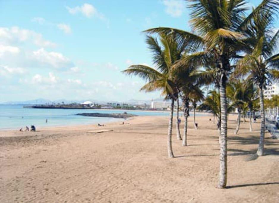 In Arrecife - 1 Or 2 Bedrooms Apartamento