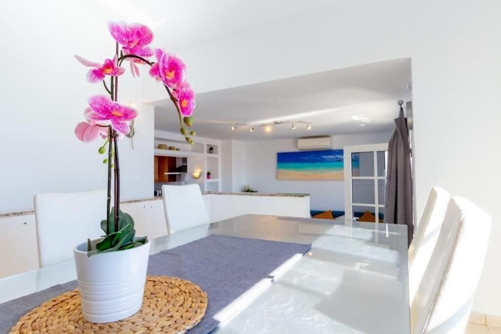 Colonia Villa *