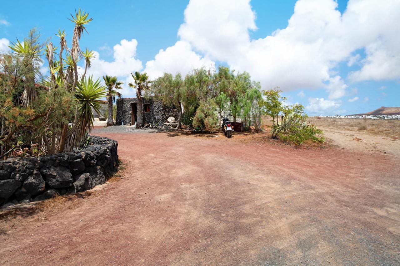 Aloe Art Teguise (Lanzarote)