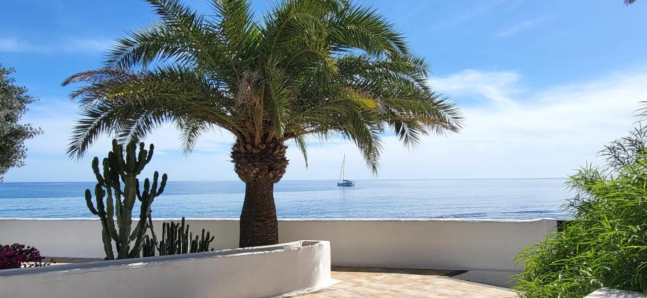 Loro Villa Playa Honda (Lanzarote)