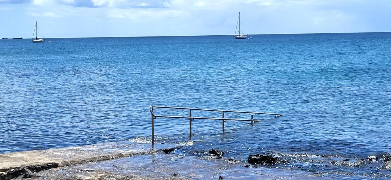 Loro Villa Playa Honda (Lanzarote)