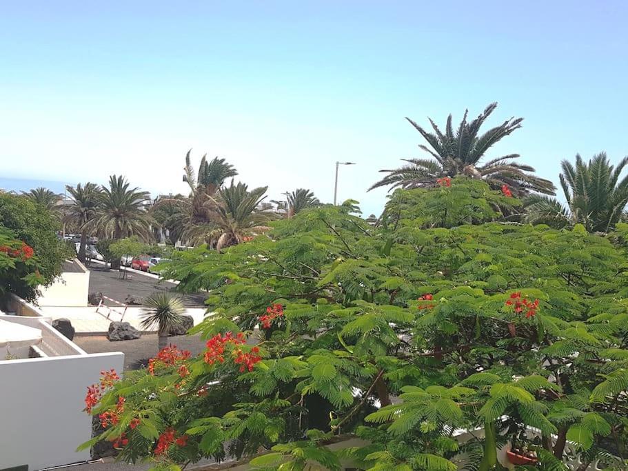 Apartment Casa Sira, Centrico Y Cerca De Playa