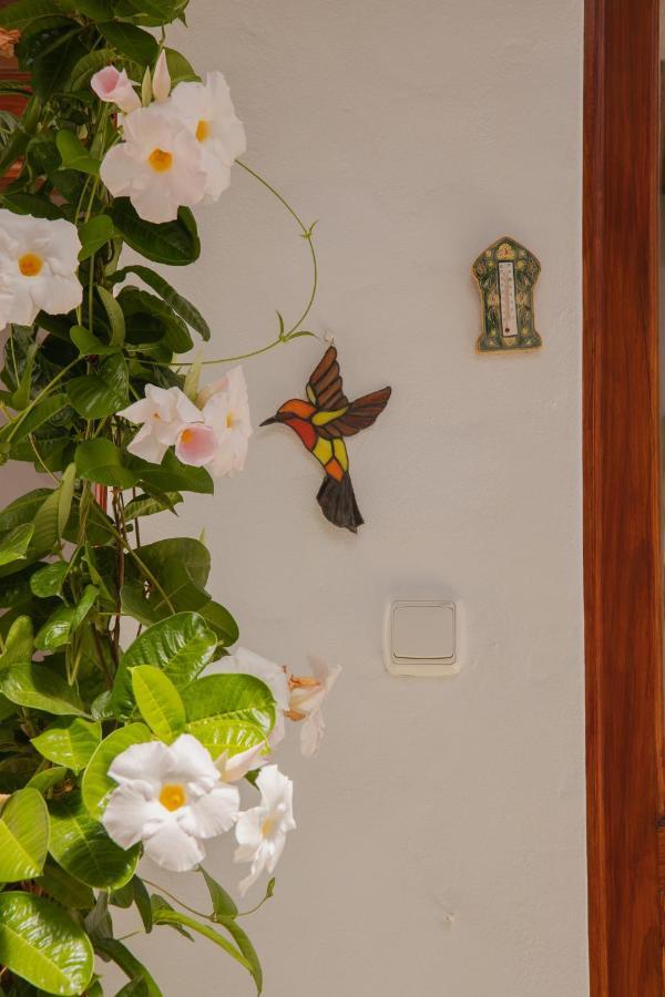 Holiday home Casa Carmen *