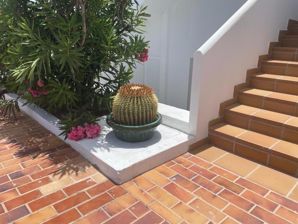 La Bonita Costa Teguise