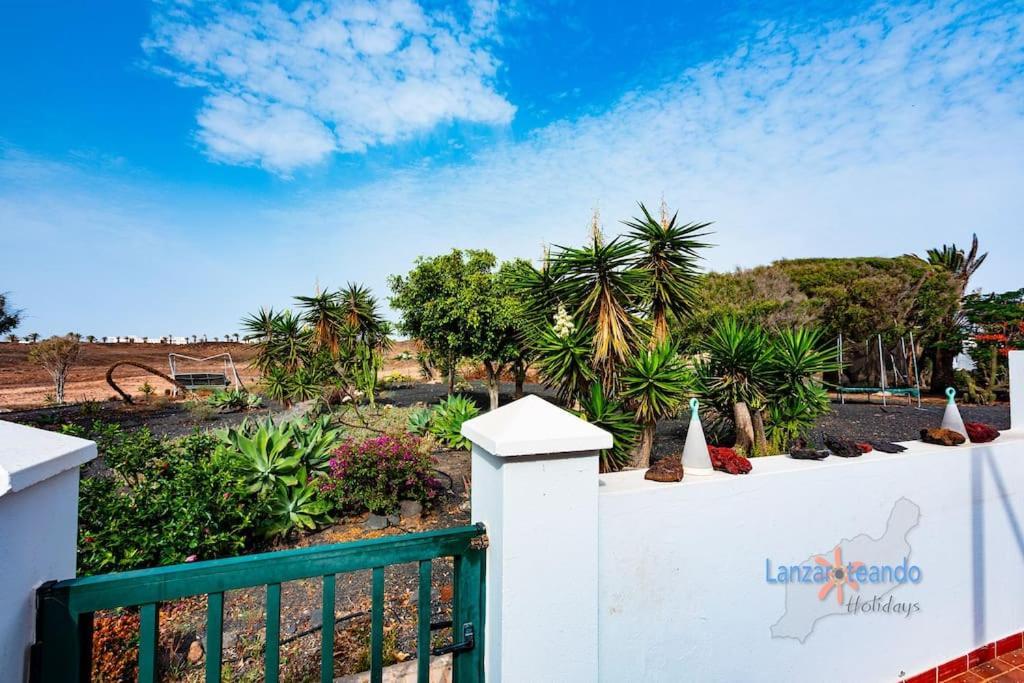Apartment Casa Francy