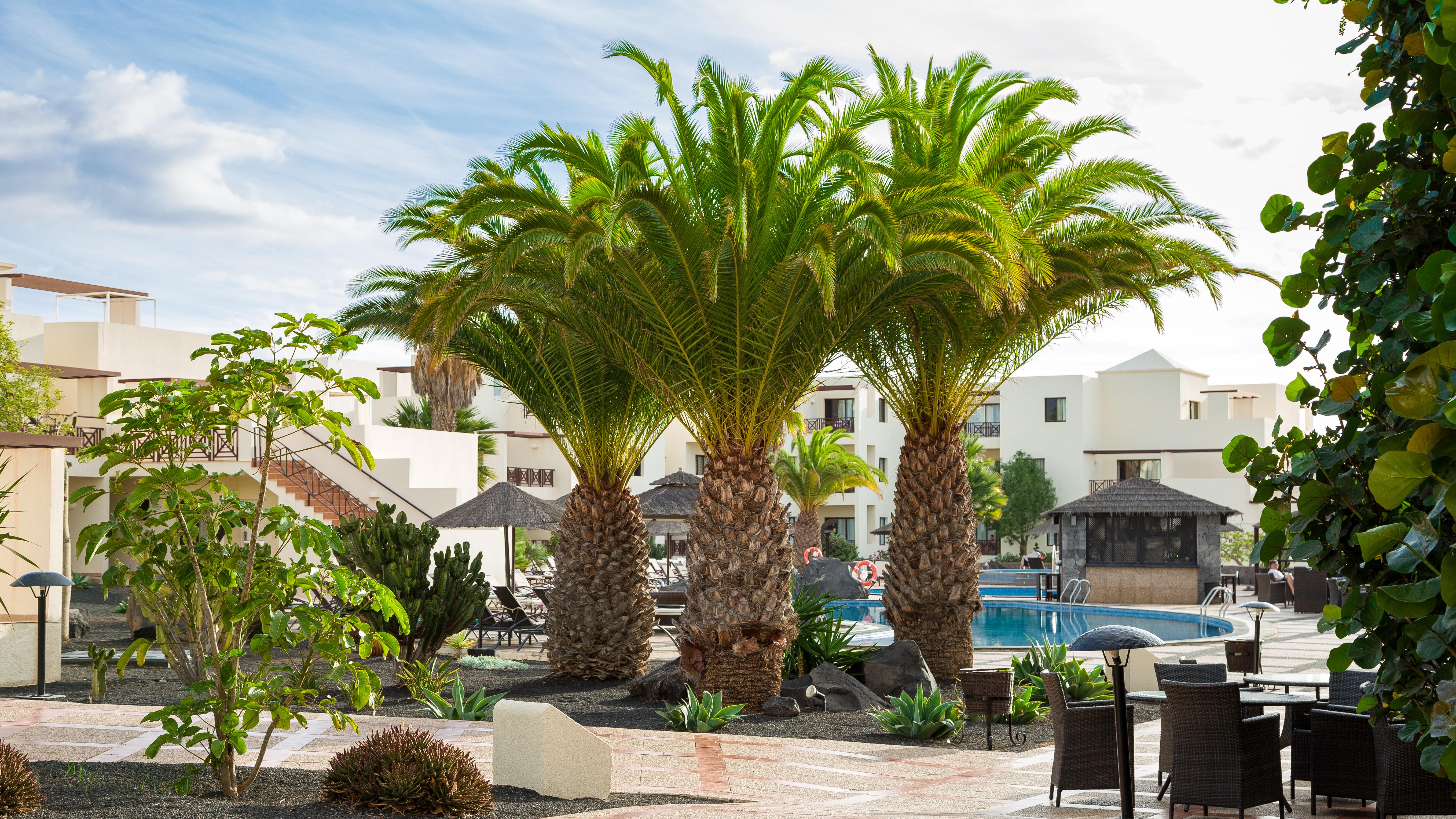 Vitalclass Lanzarote Costa Teguise