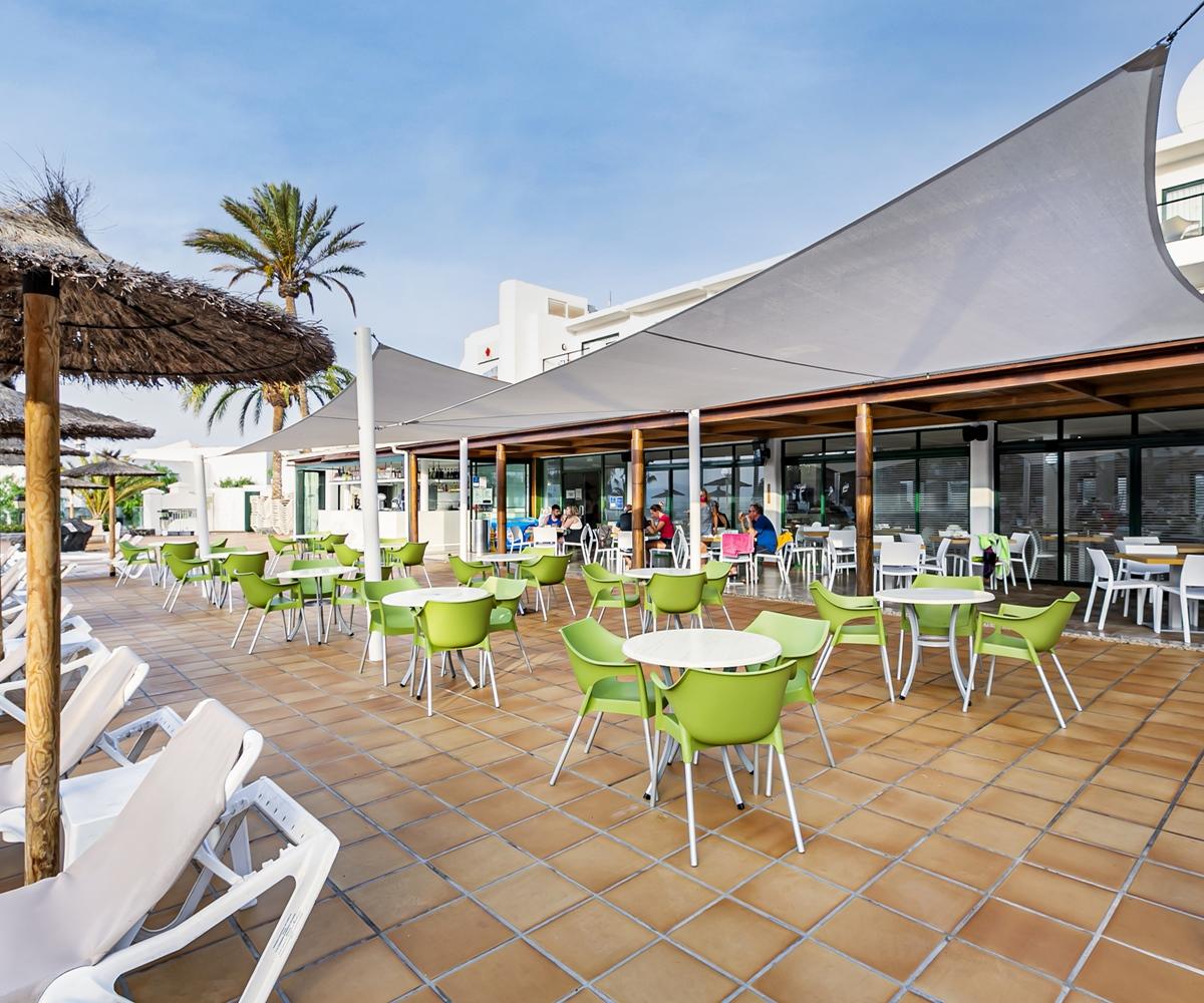 Thb Flora Puerto del Carmen (Lanzarote)