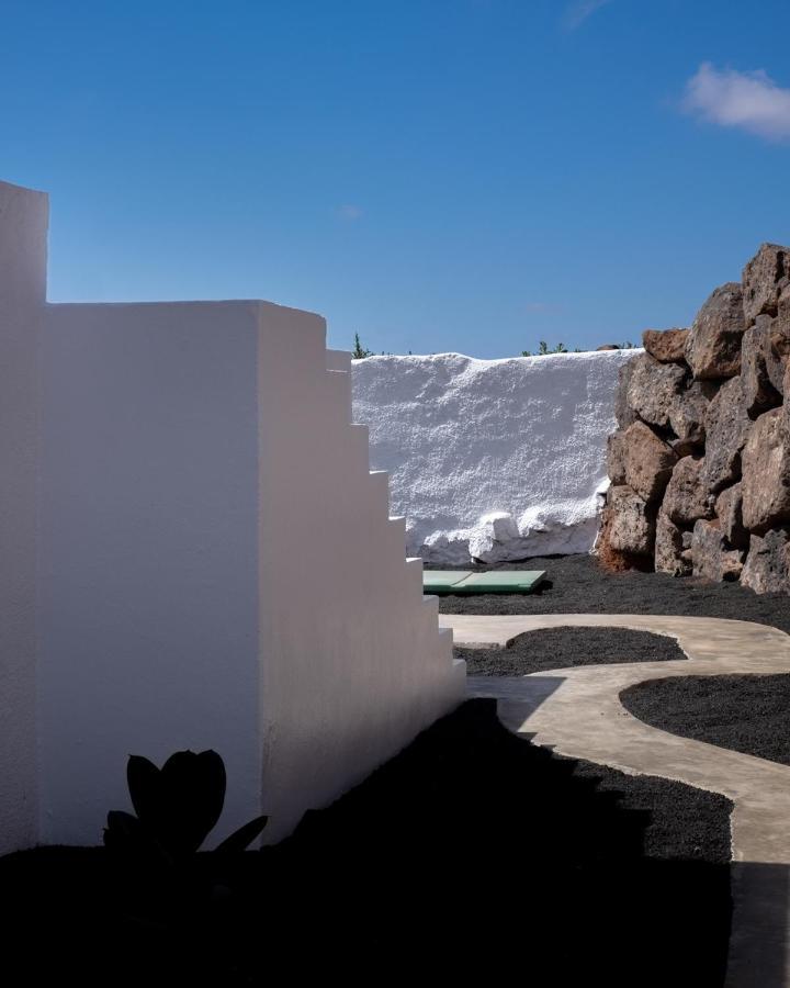 Hektor - Farm, Arts & Teguise (Lanzarote)