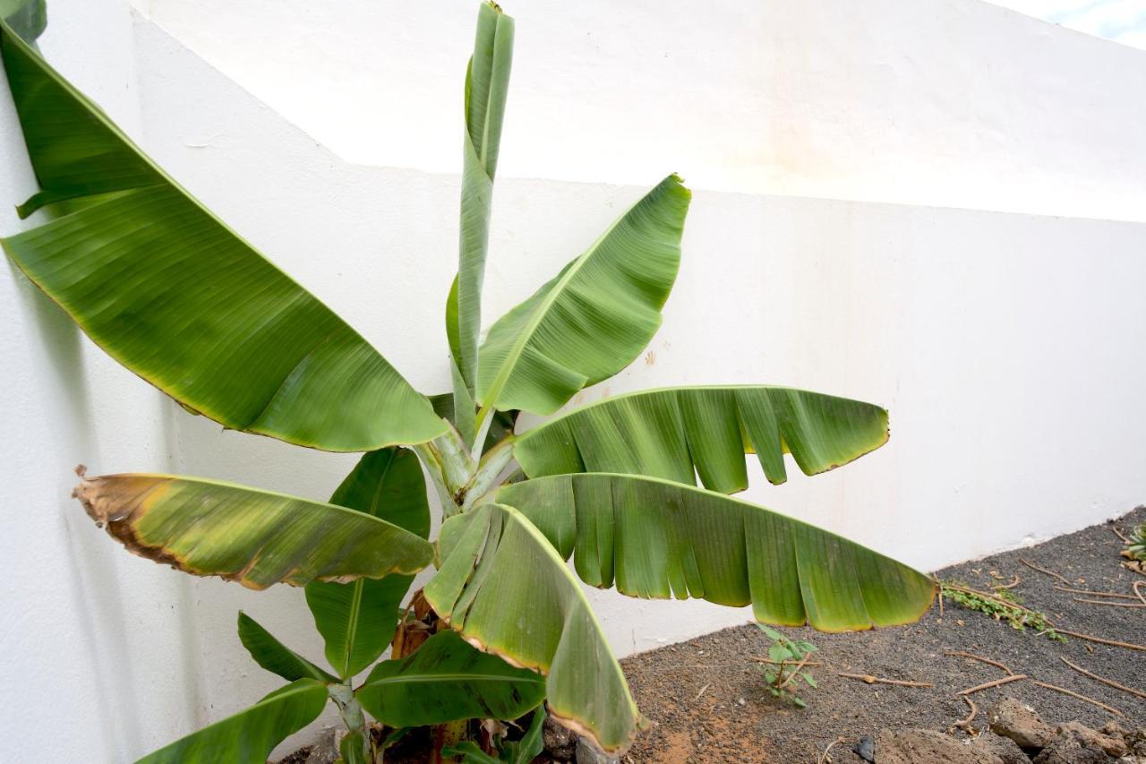 Kalendra, Rofe, Lanzarote Holiday home *