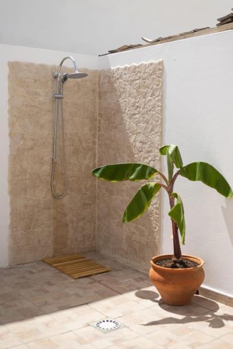 La Casita Del Sol Apartment