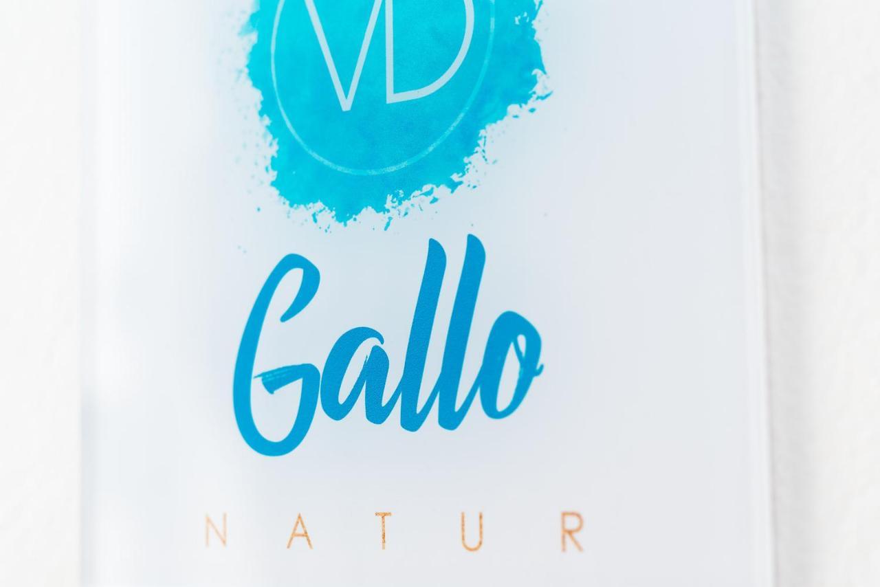 Delmar - Gallo * Charco del Palo