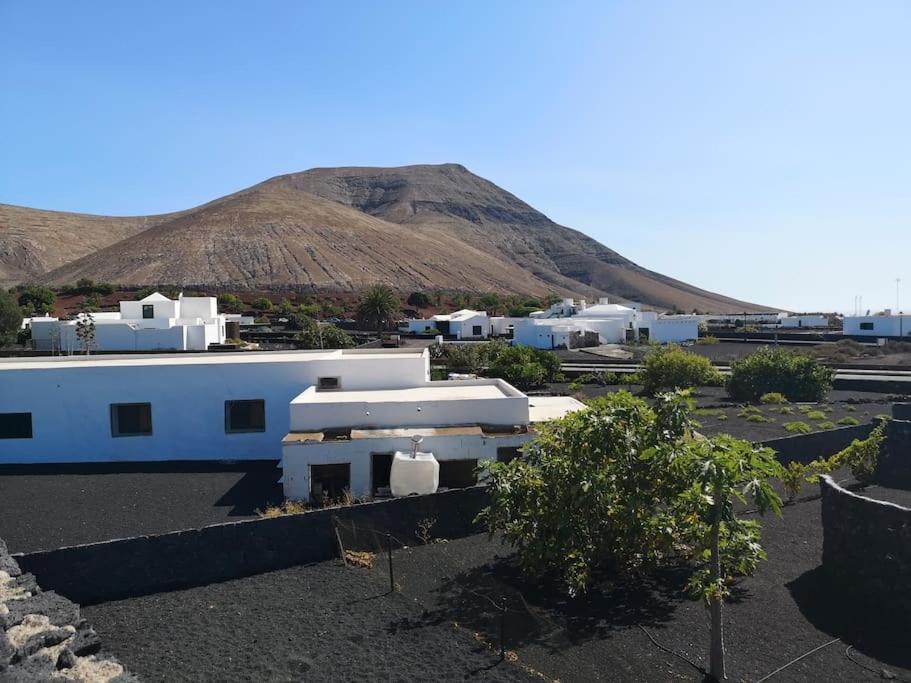 Andy Lanzarote *
