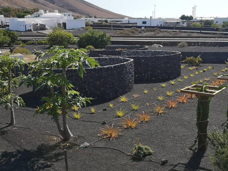 Villa Andy Lanzarote *