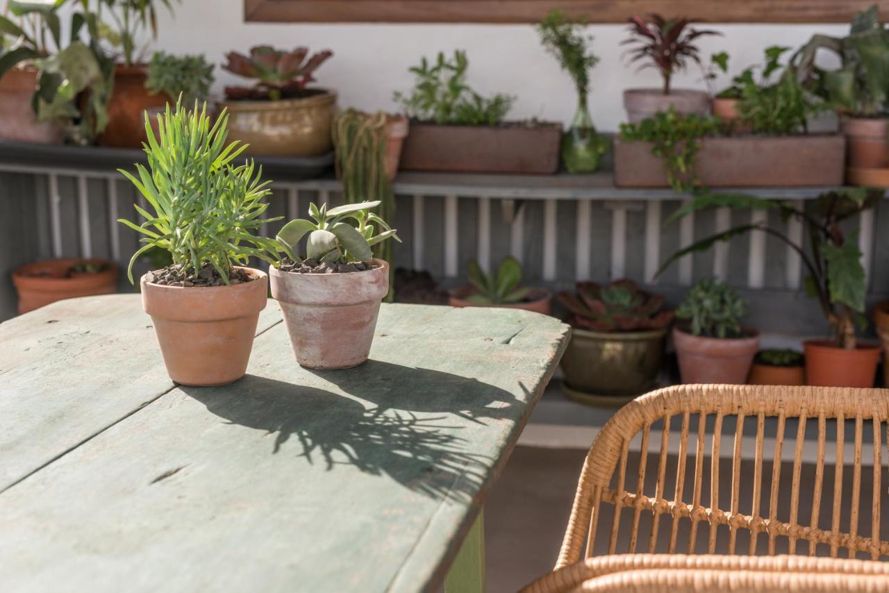 Casa Botanica - Island Location - 10 Mins Drive To Famara And La Santa *