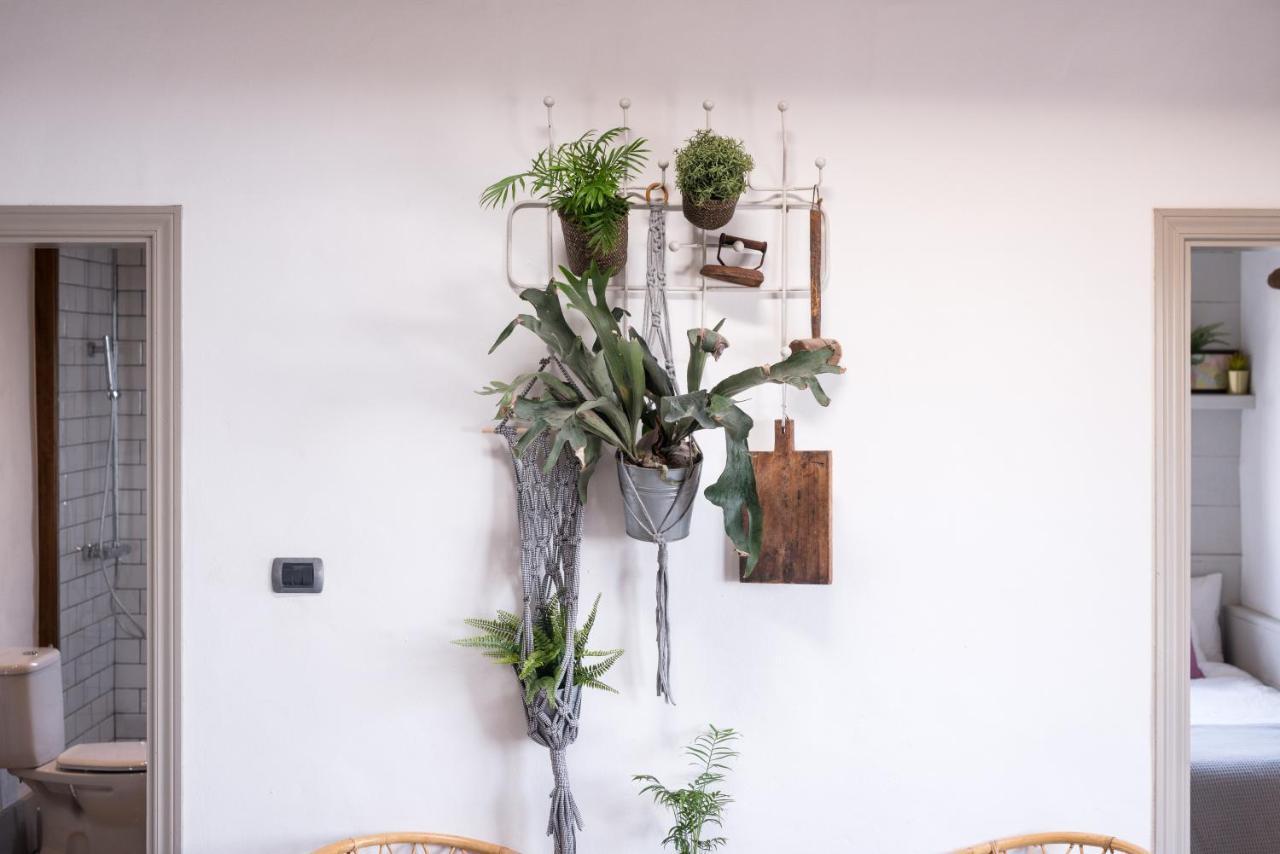 Apartment Casa Botanica - Island Location - 10 Mins Drive To Famara And La Santa