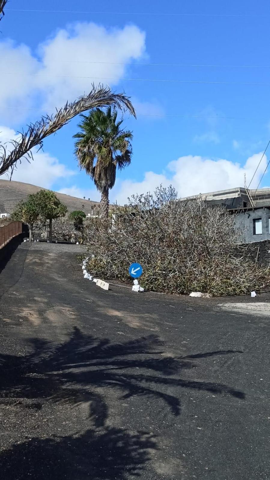 Oasis Vasiliko Lanzarote - Buena Vista * Tías