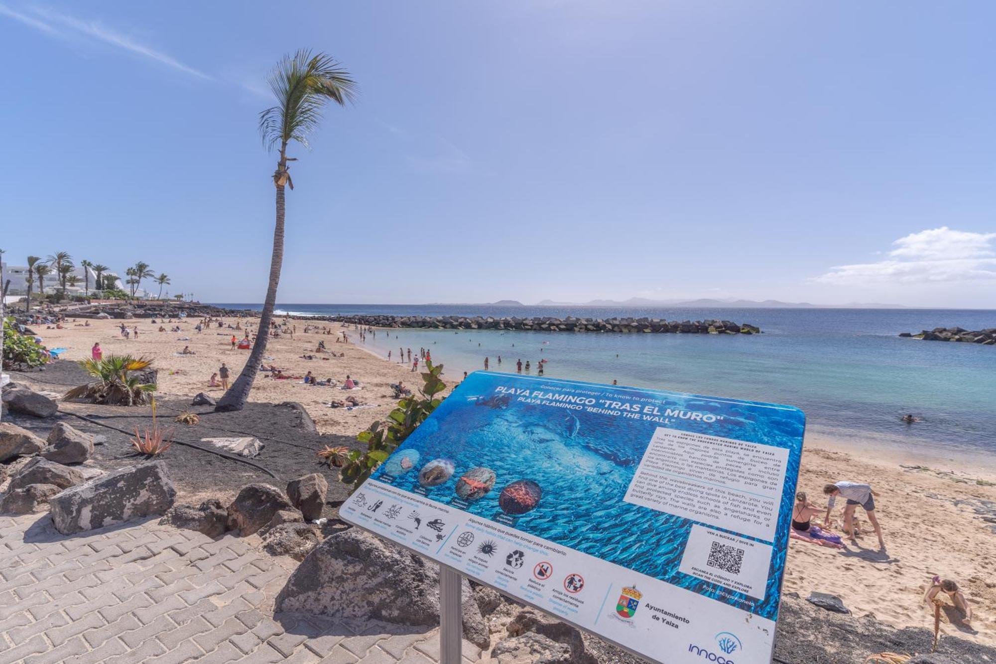 Apartment Playa Flamingo C *
