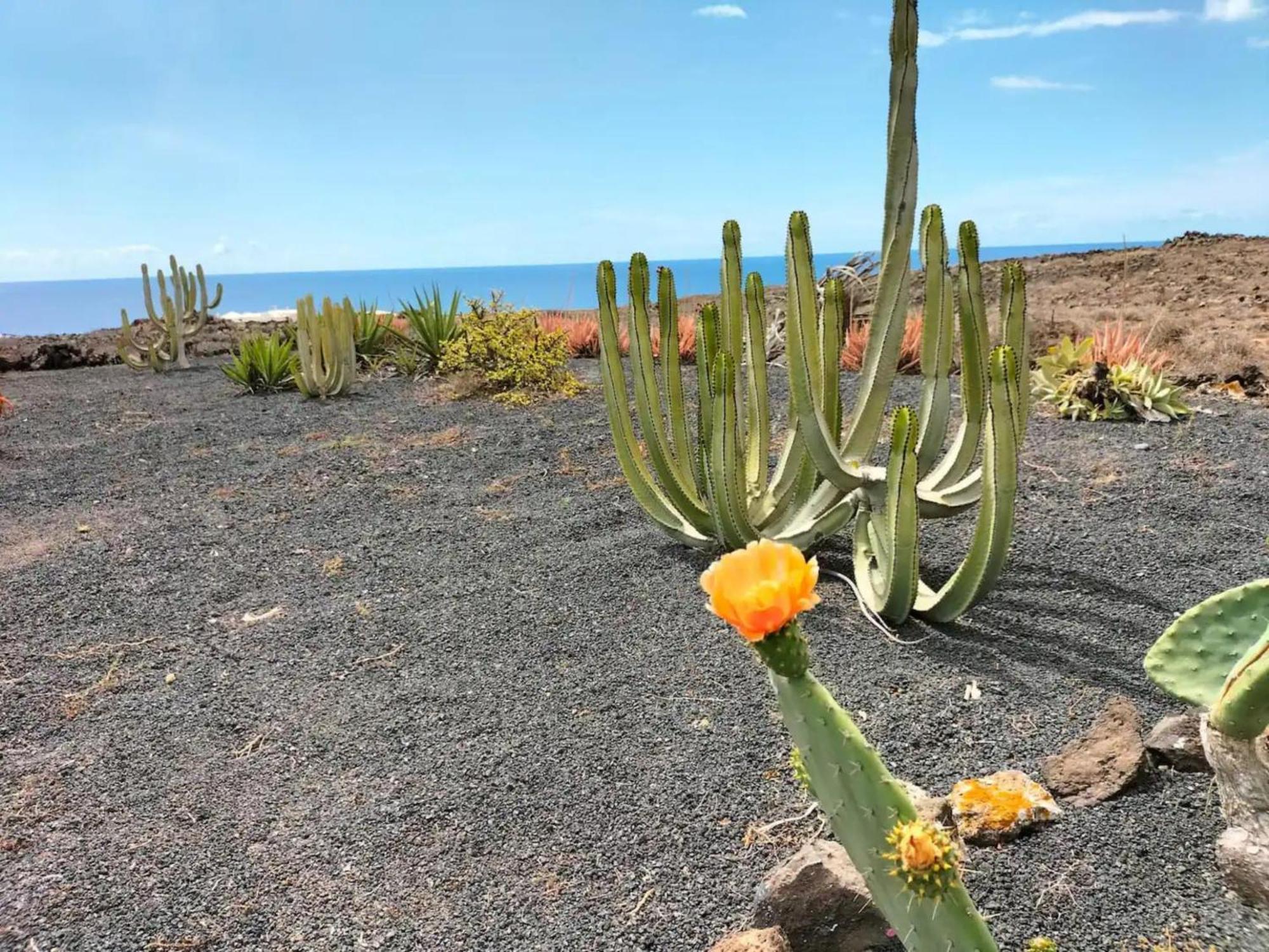 Casa Leonida Ocean Volcano House Teguise (Lanzarote)