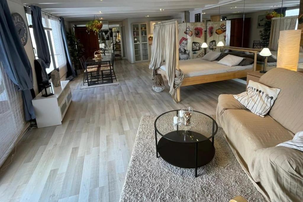 Lilli - La Maison De La Danse Apartment *