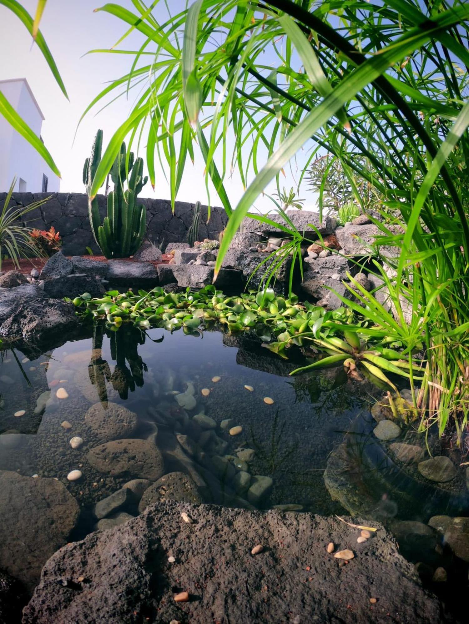 Sport & Culture Nest * Yaiza (Lanzarote)